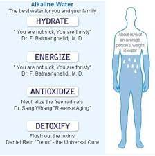 The 4 Major Benefits Of Drinking Alkaline Water Hydrate Energize Antioxidize And Detoxify Drinking Alkaline Water Alkaline Water Benefits Alkaline Water