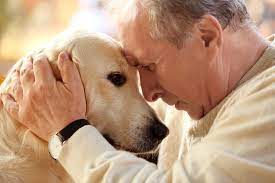 After the love interest dies, the surviving member of the couple refuses to find a new love because they consider it disrespectful to their deceased lover. Licking Wounds After Pet Euthanasia Dvm360