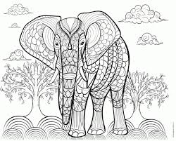 With also you can also visit our insect coloring pages gallery, if you prefer more little species. 20 Free Printable Adult Coloring Pages Animals Everfreecoloring Com