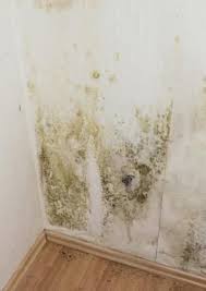 We did not find results for: How Do I Build A Cheap 1 Bedroom House Sapling Flipping Houses Painting Rehab House