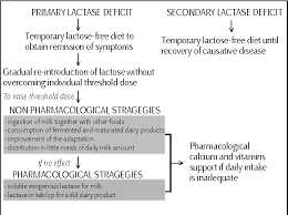 Image result for Lactase Deficiency