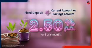 Account and placement details can be viewed upon successful. Fixed Deposit With Current Or Savings Account Promotion Hong Leong Bank