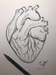 Pin Em Dibujos Para Principiantes