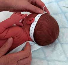 Image result for Head Circumference