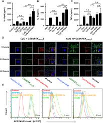 Check spelling or type a new query. A Bi Adjuvant Nanovaccine That Potentiates Immunogenicity Of Neoantigen For Combination Immunotherapy Of Colorectal Cancer Science Advances
