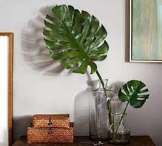 Photo about big green leaf of monstera plant with water drops isolated on white. A Single Palm Leaf Is The Underrated Decor Piece Your Home Is Missing Tropical Home Decor Tropical Decor Palm Leaf Decor