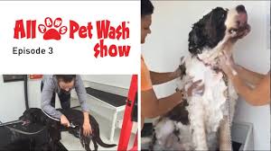 From our pet hotel & doggie day camp as an alternative to pet sitting, to our dog training and grooming as an alternative to diy, our services are conveniently located inside most of our petsmart stores. Self Serve Dog Washes Diy Dog Grooming All Paws Pet Wash