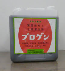 12 1月のイチゴ栽培 トヨタネブログ 農場日記 トヨタネ株式会社