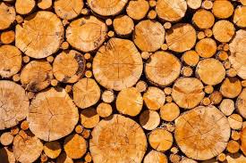 Vintage timberworks fine aged reclaimed wood antique wood globally acquired vintage timberworks has been the premier source of antique timbers, planking, and flooring for over. How To Sell Trees For Timber
