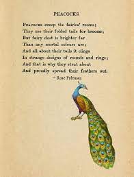 Peacocks And Fairies Brooms I Want A Peacock For A Broom Peacock Quotes Beautiful Words Words