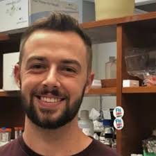 Does anyone have any recommendations for good, clean antibodies they have  used for IHC in the mouse lung?