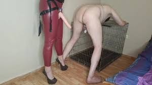 Only Femdom Pegging And Strapon - Humiliated Slaves Page 1170