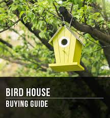 It works great on a tall pole or tree, and the front opens for easy cleaning. Bird House Buying Guide At Menards