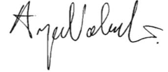 SICUREZZA NEI CANTIERI CHE BENEFICIANO DI AGEVOLAZIONI ...