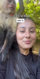 last adventure in costa rica 🥹 truly a beautiful place #monteverde  #costarica #monkey #thingstodoincostarica #fromsanjose