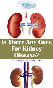 Chronic Kidney Disease Life Kidney Disease Symptoms Kidney Disease Kidney Disease Recipes