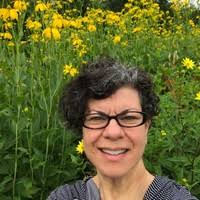 20+ "Dimarino" profiles