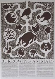 Burrowing Animals Animal Posters Animals Art