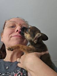 Redirecting resource guarding in young puppies? Any tips