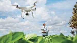 Historical discussion of insects in relation to human activities and how to confront pest problems. Digital Farming By Bayer