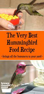 You Can Make Hummingbird Nectar With Two Items You Already Have In Your Kitchen Plus Important Tips Hummingbird Food Hummingbird Nectar Make Hummingbird Food