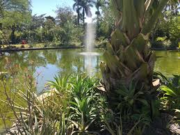 The garden features several spectacular water features, extensive orchid and bromeliad collections, and garden subsets such as a. Miami Beach Botanical Garden Finegardening
