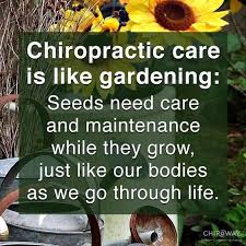 Logan Utah Chiropractor Spring Creek Medical Center In 2020 Chiropractic Quotes Chiropractic Therapy Chiropractic
