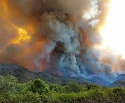 Este basto país (que tiene una además de ofrecer la fecha de hoy también vamos a publicar tutoriales sobre cómo añadir la fecha de hoy y. Greenpeace Argentina Incendios Forestales En Rio Negro Y Chubut Es Una Catastrofe Hay Que Penalizar La Destruccion De Bosques Ya
