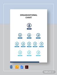 Organizational Chart 17 Free Word Pdf Documents Download