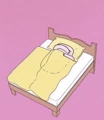 Bed Time Bedtime Funny Gif Best Funny Pictures