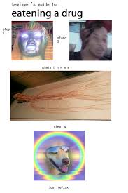 Special Meme Fresh Stupid Memes Funny Memes Bad Memes