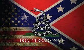 Usa rebel don't tread on me 3x5 flag. Pin On America