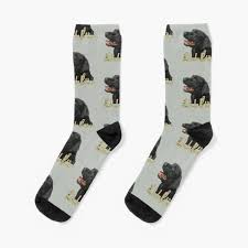 Check spelling or type a new query. Chocolate Dog Socks Redbubble
