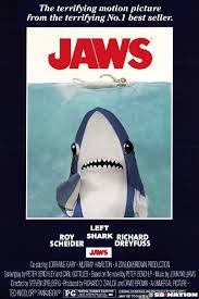I hope natal sharks win, because the bulls are bullies and john smith always seems to cop some stick. These Left Shark Memes Will Make You Love Left Shark Even More Sbnation Com