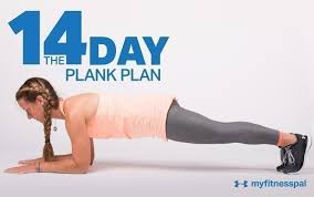 the 14 day plank plan fitness myfitnesspal