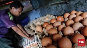 Kami adalah supplier telur ayam yogya dengan skala besar, siap menyuplai telur ayam dengan kualitas dan penyimpanan yang terbaik. Telur Ayam Terancam Langka Pasokan Defisit Bulan Depan