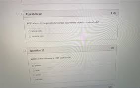 But at the end of the day, eukaryotes and prokaryotes have more in common with each other than even though their cells are constructed similarly, plants and animals have different cellular. D Question 10 1 Pts With Whom Do Fungal Cells Have Chegg Com