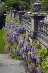 An Entry From Emilialua Westbury Gardens Old Westbury Gardens Old Westbury