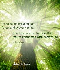 Quote About Oneness Quote Nature Quotes Spiritual Quotes Hope Quotes
