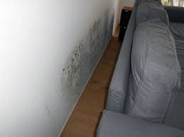 Um einen schimmelbefall überhaupt sinnvoll entfernen und künftig vermeiden zu. Schimmel Im Wohnzimmer Gutachter Zeigt Wo Es Schimmelt