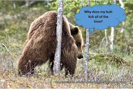 Image result for itchy skin rectum