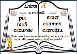 A anuntat de la inceput marele premiu la cannes. Dutza Latcolic Dutzalatcolic Profil Pinterest