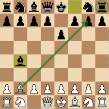 A rook may along ranks or files (that is, horizontally or vertically) any number of occupied spaces per move. Polish Opening Chess Pathways