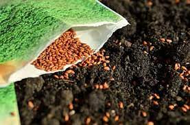 Check spelling or type a new query. Monmouth County Bulk Mulch Pantano Nursery Landscape Supply