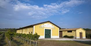 Maria Pia Castelli : all products for sale online