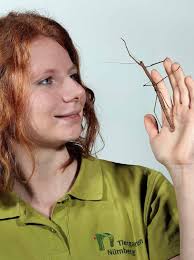 Tiergarten Nürnberg