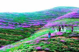 Nenechajte si ujsť krásny program v afganistane. Ø²ÛŒØ¨Ø§ÛŒÛŒ Ø®Ø§Øµ Ø§Ø² Ø·Ø¨ÛŒØ¹Øª ÙØ§Ø±ÛŒØ§Ø¨ Ø·Ø¨ÛŒØ¹Øª Ø²ÛŒØ¨Ø§ÛŒ Ø§ÙØºØ§Ù†Ø³ØªØ§Ù† Facebook