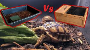 11 options for your turtle habitat. How To Set Up Your Baby Sulcata Tortoise Enclosure Youtube