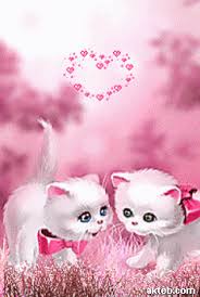 صور متحركه 2021 hd اجمل خلفيات متحركة مصراوى الشامل in 2021 colourful wallpaper iphone animated animals animals beautiful