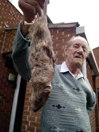 The cathedral quarter has a large range of shops, boutiques, coffee shops and restaurants. Disgust And Horror At Rats Plaguing Derby Street Derbyshire Live